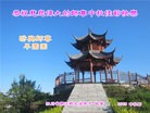 Published on 9/27/2015 ���ֹ�,��½�󷨵��ӹ�ףʦ�������(31��)
