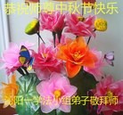 ���ֹ�,�����󷨵��ӹ�ףʦ�������(26��)
