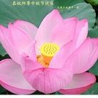 ���ֹ�,ɽ���󷨵��ӹ�ףʦ�������(27��)
