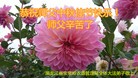 Published on 9/27/2015 ���ֹ�,��½�󷨵��ӹ�ףʦ�������(41��)
