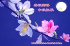 Published on 9/27/2015 ���ֹ�,��½�󷨵��ӹ�ףʦ�������(79��)
