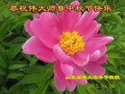 Published on 9/27/2015 ���ֹ�,��½�󷨵��ӹ�ףʦ��������֣�86����
