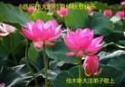 Published on 9/27/2015 ���ֹ�,��½�󷨵��ӹ�ףʦ��������֣�86����
