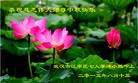 Published on 9/28/2015 ���ֹ�,��½�󷨵��ӹ�ףʦ������ã�66����
