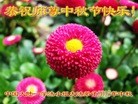 Published on 9/28/2015 ���ֹ�,��½�󷨵��ӹ�ףʦ������ã�93����
