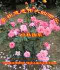 Published on 9/28/2015 ���ֹ�,��½�󷨵��ӹ�ףʦ������ã�123����

