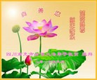 Published on 2/9/2016 ���ֹ�,��½�󷨵��ӹ�ףʦ�������(28��)
