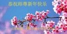 Published on 2/7/2016 ���ֹ�,��½�󷨵��ӹ�ףʦ������(27��)
