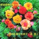 ���ֹ�,����ʡ�󷨵��ӹ�ףʦ�������(19��)
