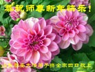 Published on 2/7/2016 ���ֹ�,��½�󷨵��ӹ�ףʦ������(27��)
