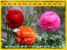 Published on 12/31/2015 ���ֹ�,��½�󷨵��ӹ�ףʦ���������(32��)
