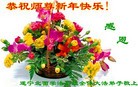 Published on 12/31/2015 ���ֹ�,��½�󷨵��ӹ�ףʦ���������(32��)
