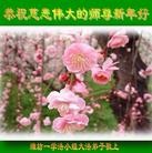 ���ֹ�,Ϋ���󷨵��ӹ�ףʦ�������(27��)
