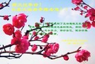 ���ֹ�,����󷨵��ӹ�ףʦ�������(20��)
