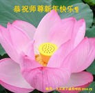 ���ֹ�,�����󷨵��ӹ�ףʦ������(27��)
