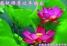 ���ֹ�,�������󷨵��ӹ�ףʦ�������(18��)
