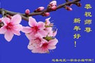 Published on 12/31/2015 ���ֹ�,��½�󷨵��ӹ�ףʦ���������(26��)
