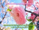 ���ֹ�,�ӱ��󷨵��ӹ�ףʦ�������(18��)
