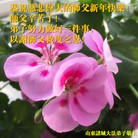 ���ֹ�,Ϋ���󷨵��ӹ�ףʦ������(25��)
