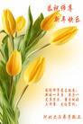���ֹ�,�ӱ��󷨵��ӹ�ףʦ������(27��)
