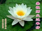 Published on 2/7/2016 ���ֹ�,��ѧԱ��ףʦ������(22��)
