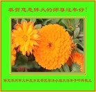 ���ֹ�,�����󷨵��ӹ�ףʦ������(22��)
