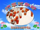 ���ֹ�,�������󷨵��ӹ�ףʦ������(22��)
