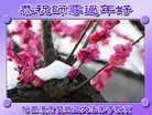 ���ֹ�,�������󷨵��ӹ�ףʦ������(22��)
