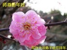 ���ֹ�,�ӱ��󷨵��ӹ�ףʦ���������(26��)
