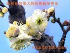 ���ֹ�,ʯ��ׯ�󷨵��ӹ�ףʦ���������(28��)
