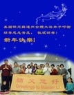 Published on 1/1/2016 ���ֹ�,�����׶���ŦԼ������ͼ�ȵش󷨵��ӹ�ףʦ�������
