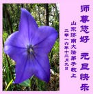 ���ֹ�,���ϴ󷨵��ӹ�ףʦ�������(23��)