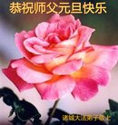 ���ֹ�,Ϋ���󷨵��ӹ�ףʦ�������(21��)