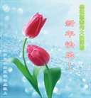 ���ֹ�,��ɳ�󷨵��ӹ�ףʦ�������(23��)