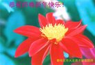 Published on 12/29/2016 ���ֹ�,��½�󷨵��ӹ�ףʦ�������(28��)