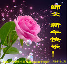 ���ֹ�,�Ϻ��󷨵��ӹ�ףʦ�������(21��)