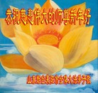 ���ֹ�,ɽ���󷨵��ӹ�ףʦ�������(30��)