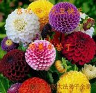 ���ֹ�,���ϴ󷨵��ӹ�ףʦ�������(20��)