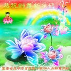 ���ֹ�,���ϴ󷨵��ӹ�ףʦ�������(21��)