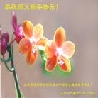 ���ֹ�,���ϴ󷨵��ӹ�ףʦ�������(23��)