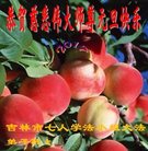 ���ֹ�,�����д󷨵��ӹ�ףʦ�������(21��)