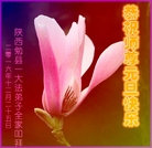 ���ֹ�,�����󷨵��ӹ�ףʦ�������(20��)