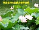 Published on 1/1/2017 ���ֹ�,��½�󷨵��ӹ�ףʦ�������(32��)