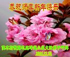 Published on 1/1/2017 ���ֹ�,��½�󷨵��ӹ�ףʦ�������(31��)