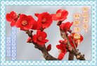 Published on 1/1/2017 ���ֹ�,��½�󷨵��ӹ�ףʦ�������(31��)