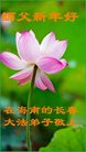 Published on 1/1/2017 ���ֹ�,��½�󷨵��ӹ�ףʦ�������(31��)