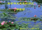 Published on 1/1/2017 ���ֹ�,��½�󷨵��ӹ�ףʦ�������(36��)