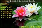 Published on 1/1/2017 ���ֹ�,��½�󷨵��ӹ�ףʦ�������(36��)