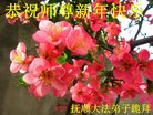 Published on 1/1/2017 ���ֹ�,��½�󷨵��ӹ�ףʦ�������(32��)