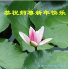 Published on 1/1/2017 ���ֹ�,��½�󷨵��ӹ�ףʦ�������(32��)